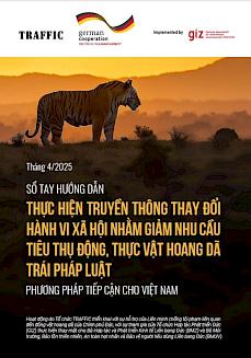 Không có ảnh